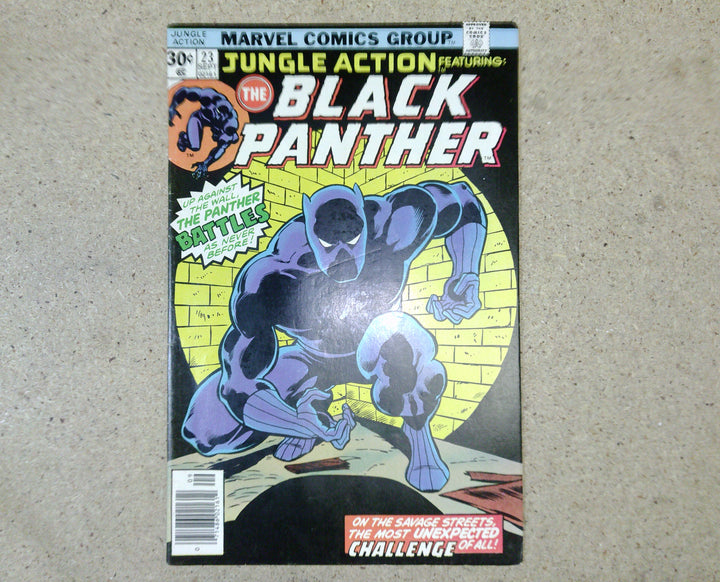 Jungle Action featuring the Black Panther 