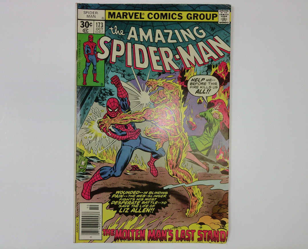 The Amazing Spider-Man 