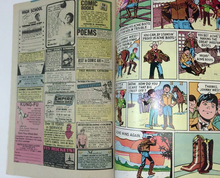 Power Man and Iron Fist 
