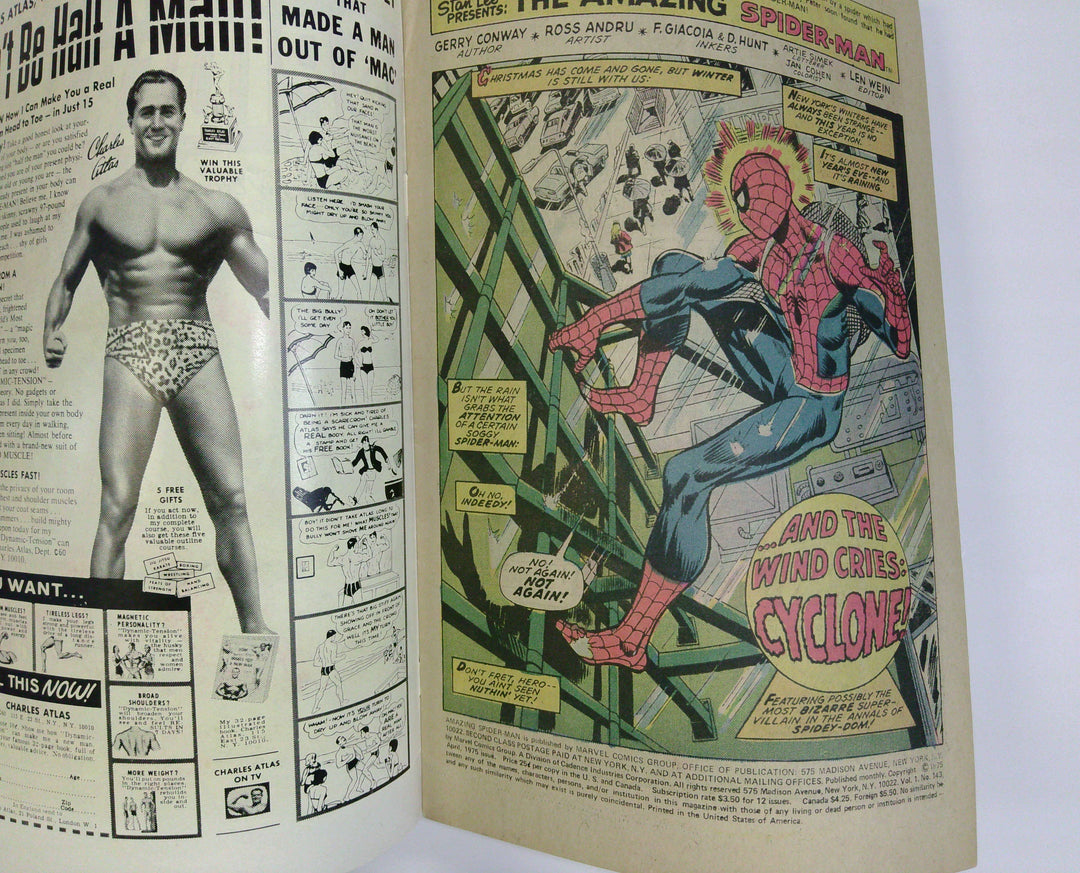 The Amazing Spider-Man 