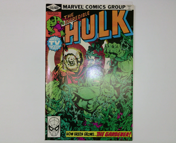 The Incredible Hulk 