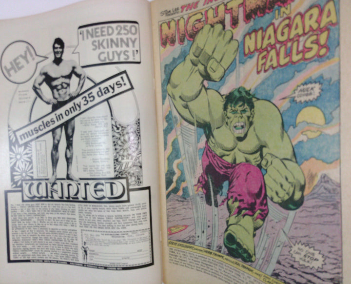 The Incredible Hulk 