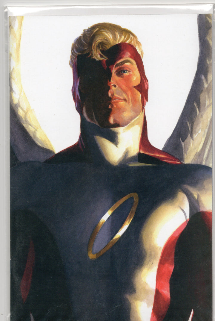 Alex Ross Timeless Variants: Set of Heroes and Villains complete. 72 books total