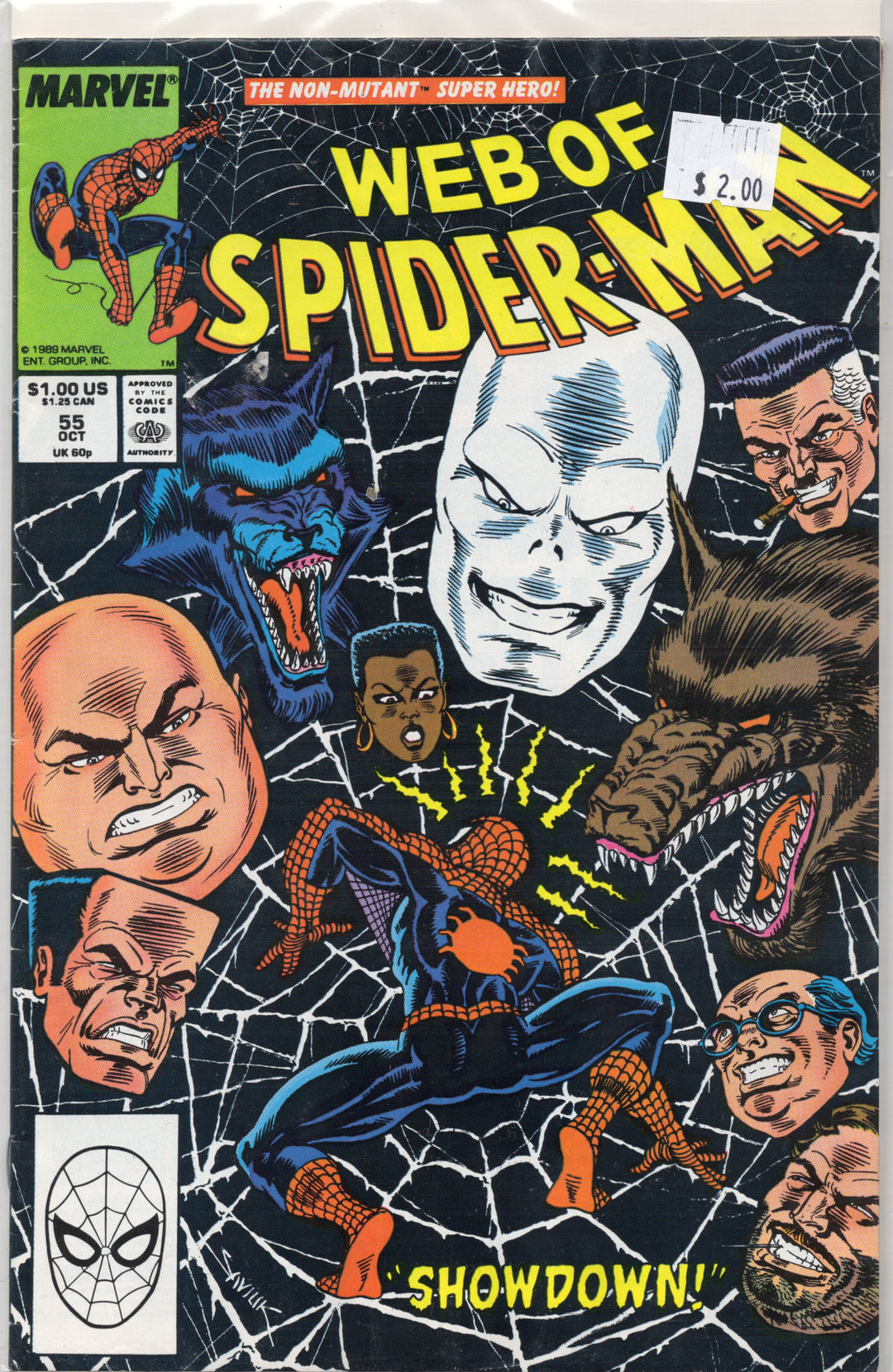 Web Of Spiderman #55