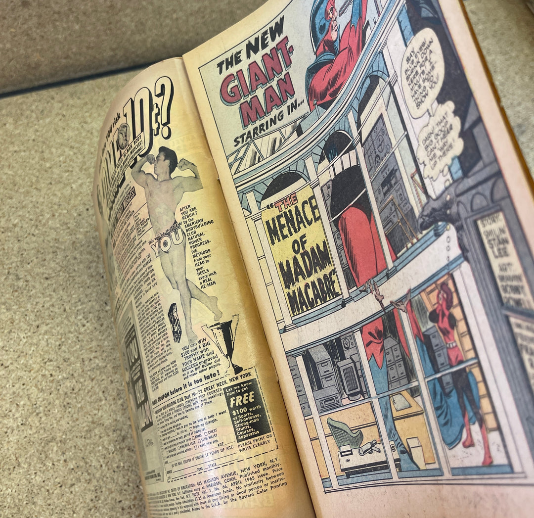 Tales to Astonish #66