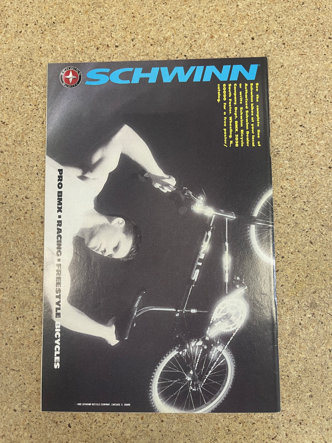 Sensational She Hulk #1