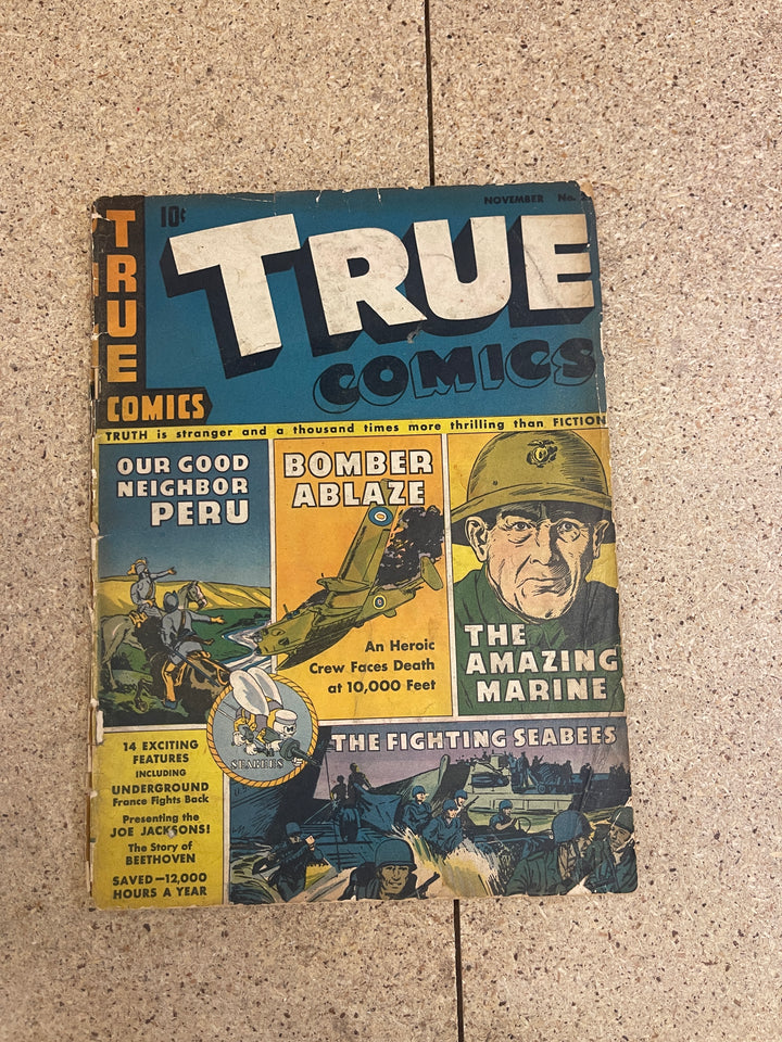 True Comics #29