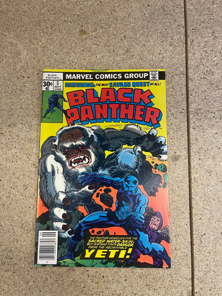 Black Panther #5