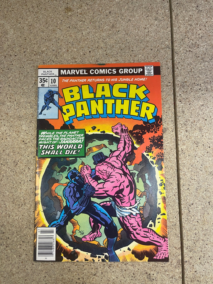 Black Panther #10