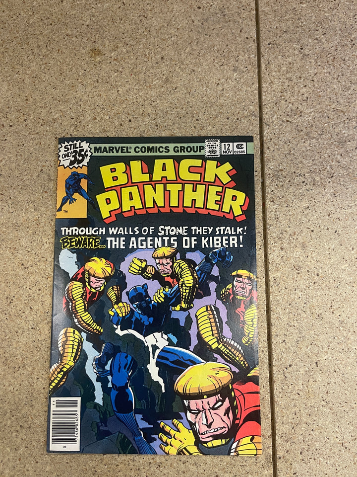 Black Panther #12