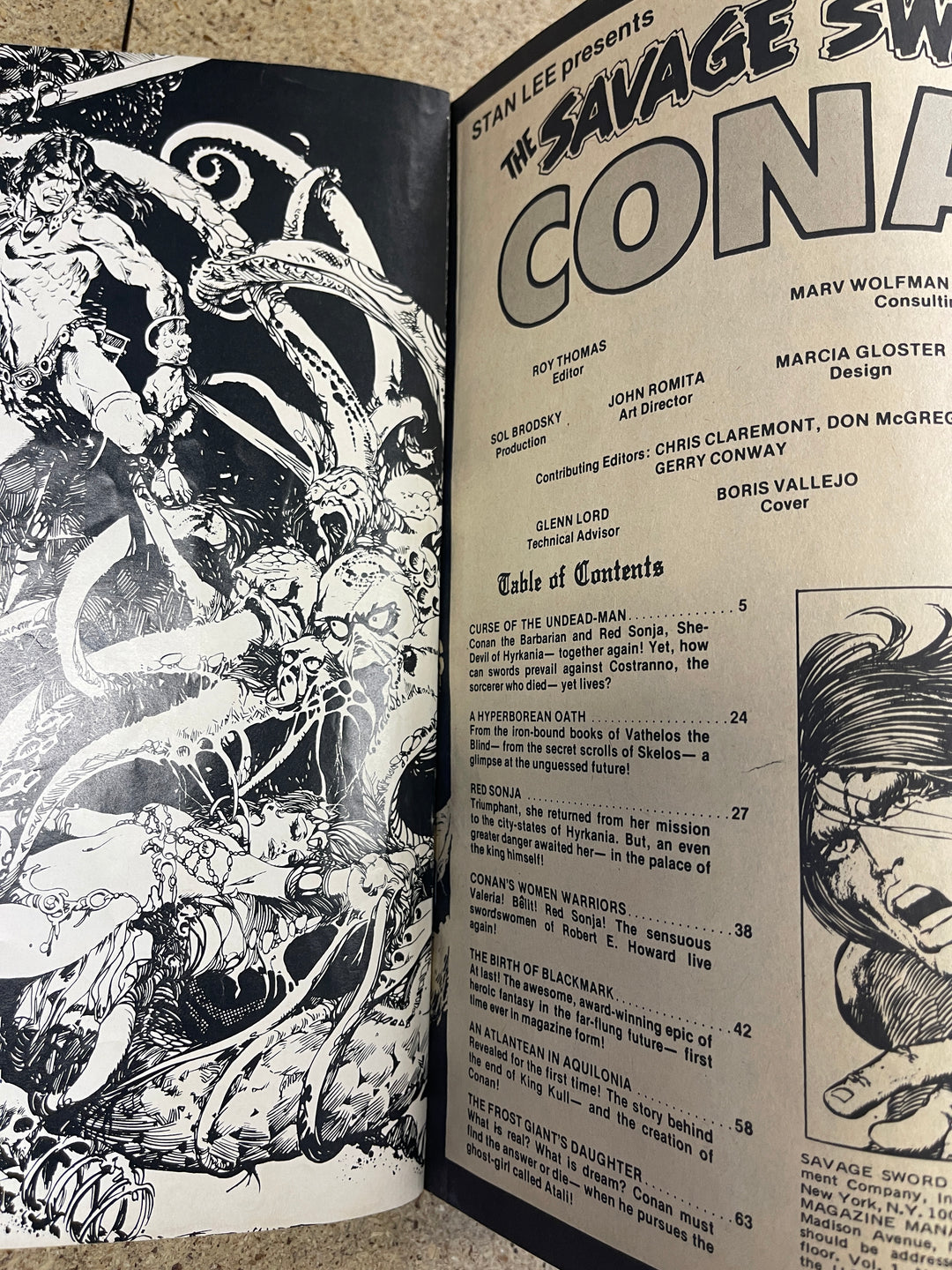 The Savage Sword of Conan 