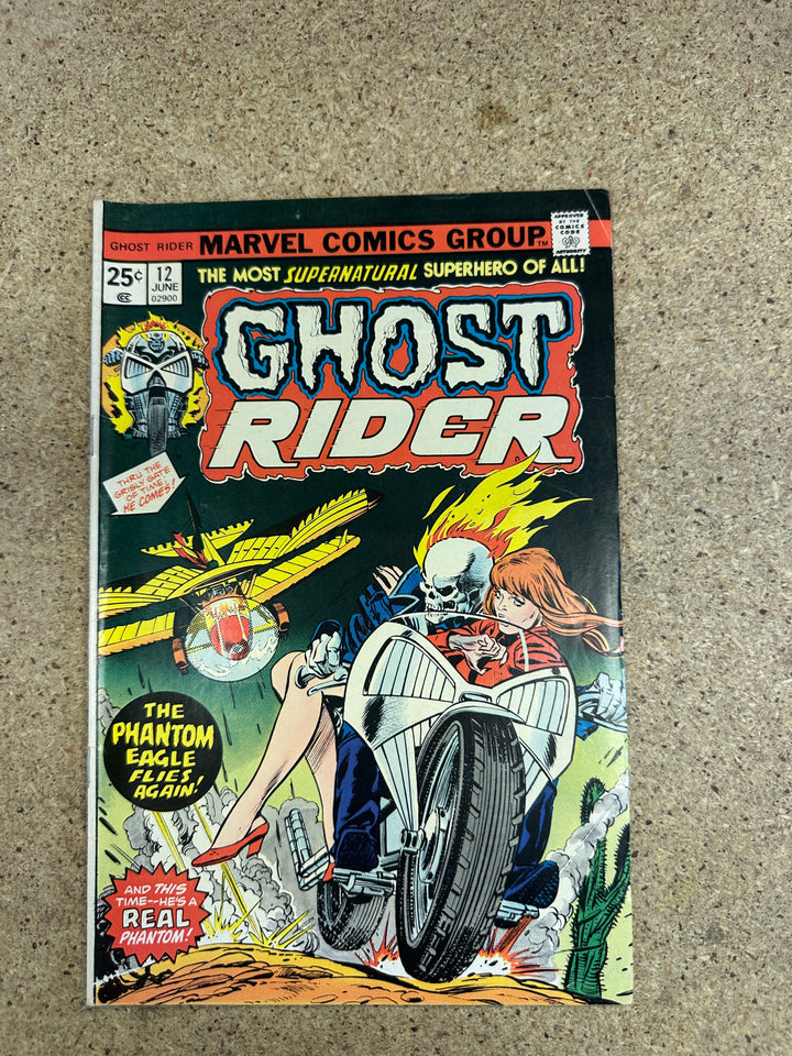 Ghost Rider #12