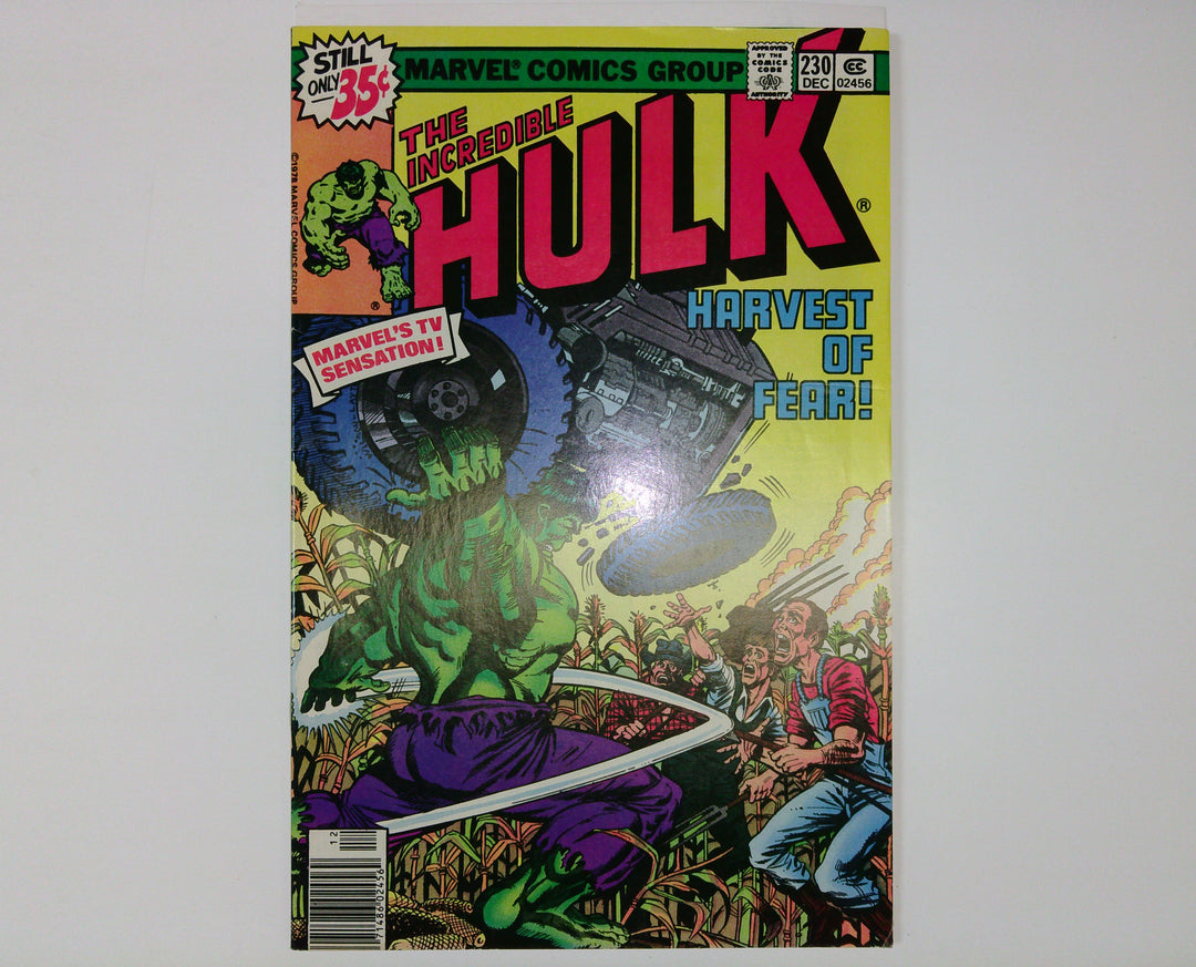 The Incredible Hulk 