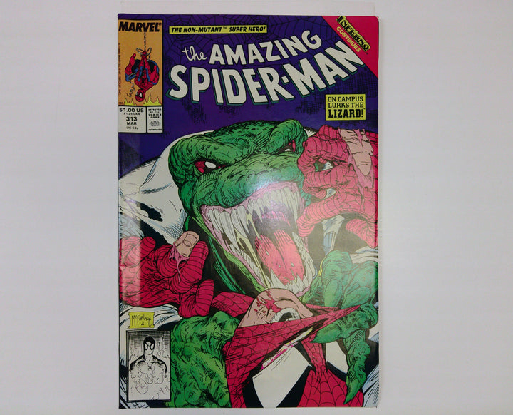 The Amazing Spider-Man 