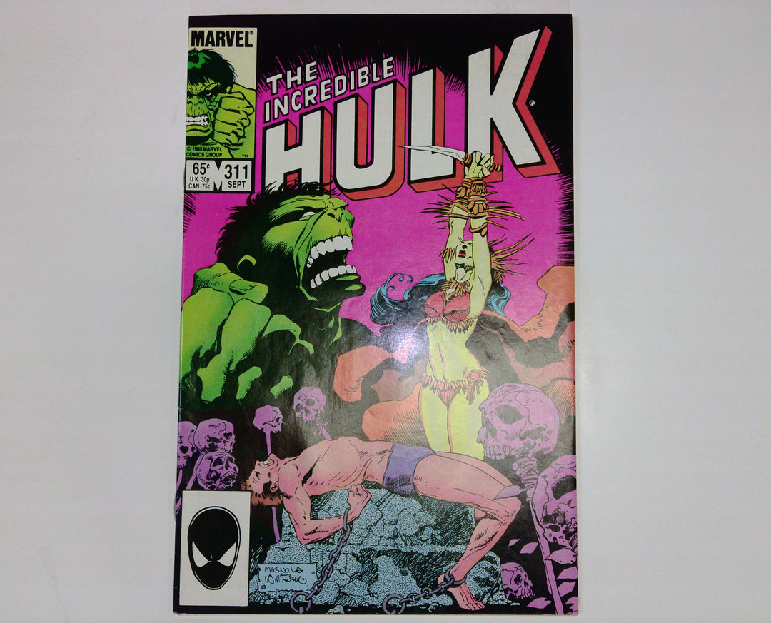 The Incredible Hulk 