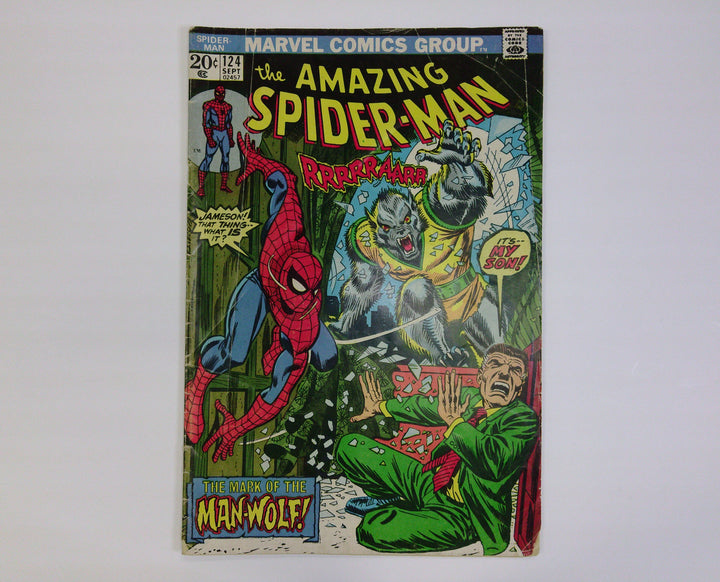 The Amazing Spider-Man 