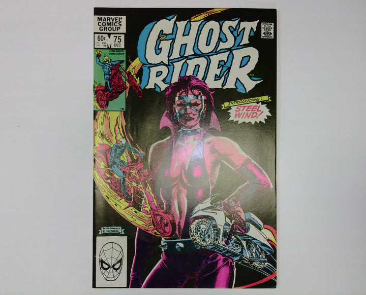 Ghost Rider 