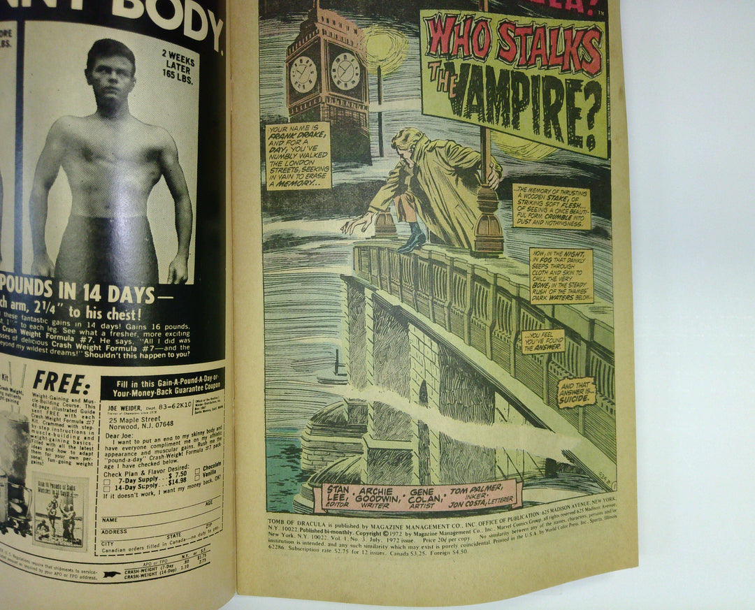 The Tomb of Dracula 
