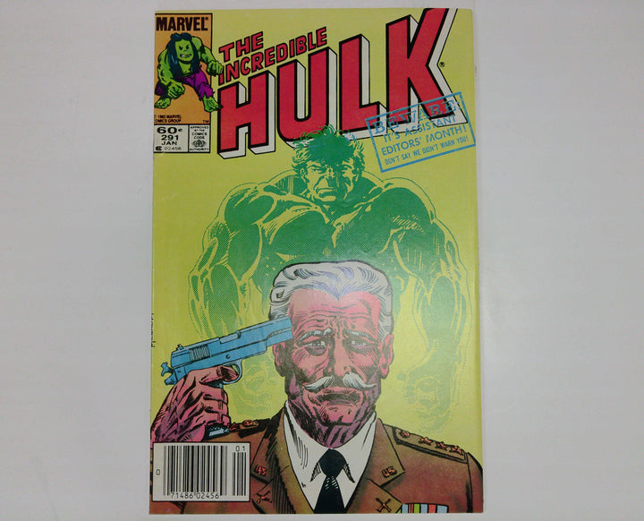 The Incredible Hulk 